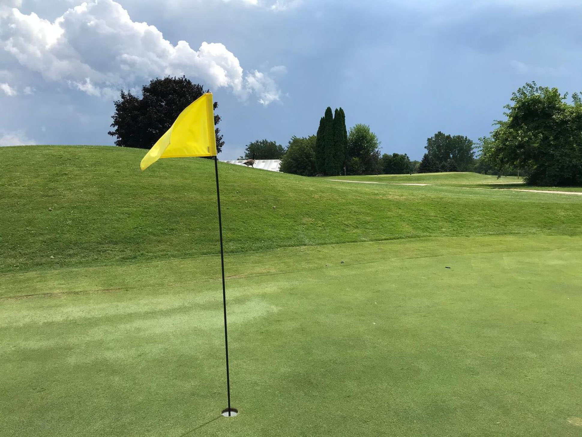 Home Downing Farms Golf Course